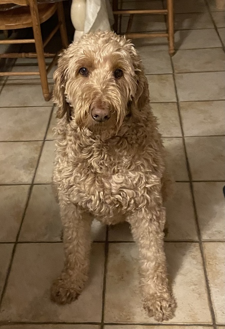 Winston