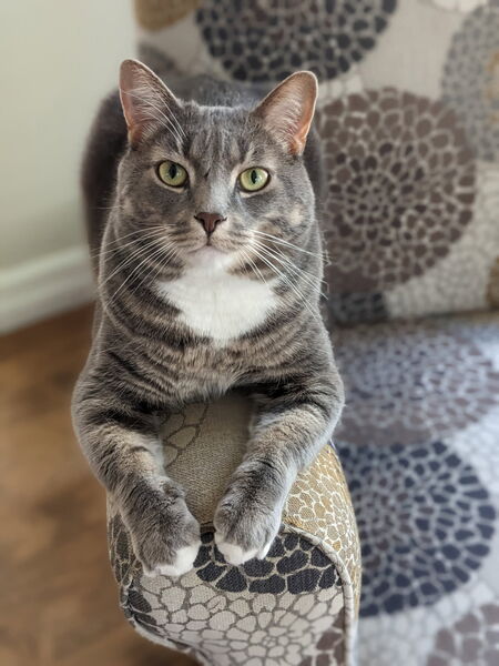 Winston