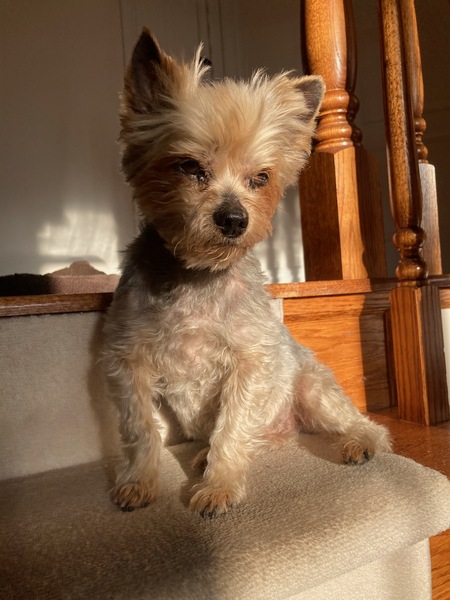 Wally