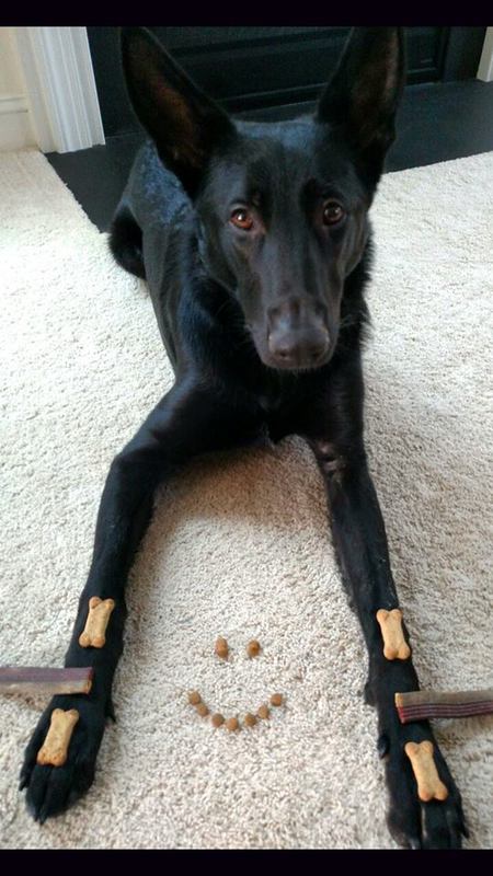 Rico 