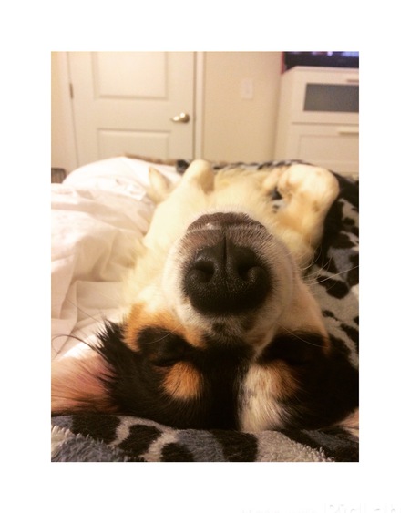 Charlie