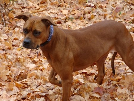 Sadie