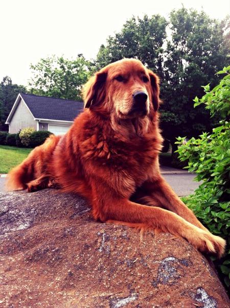 Rudy