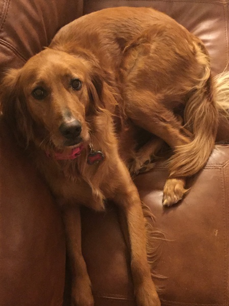 Sophie 