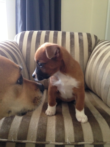 Winnie and Eli