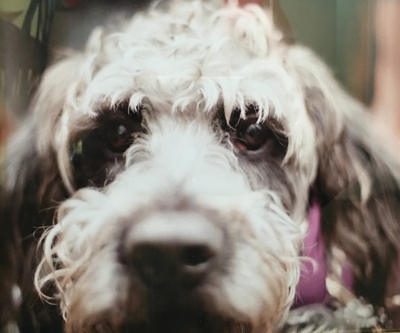 Maggie