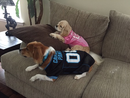 Sampson and Maddie