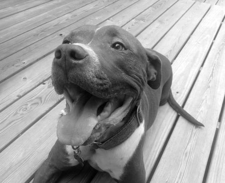 GUNNY!