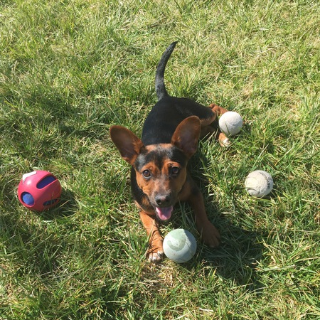 Tucker