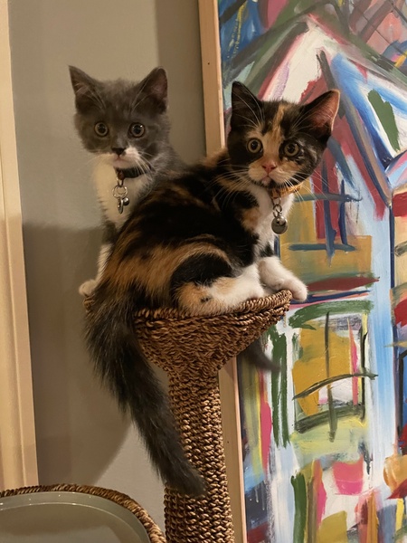 Angus & Paisley 