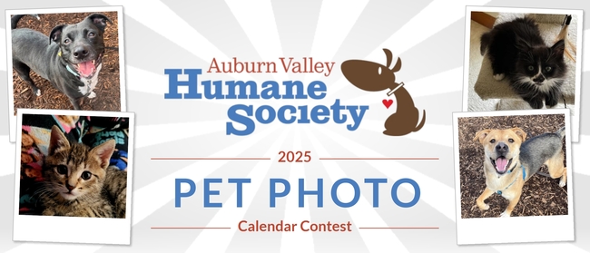 Auburn Valley Humane Society 2025 AVHS Pet Calendar Fundraiser Auburn Valley Humane Society 2025 AVHS Pet Calendar Fundraiser