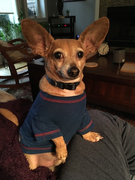 Simon