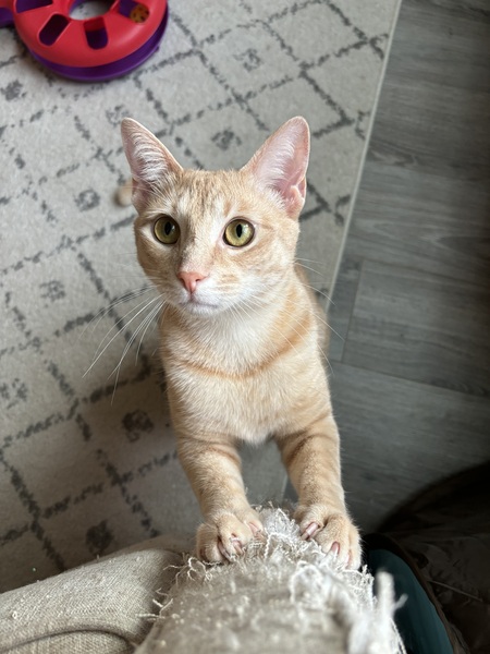 Tony 