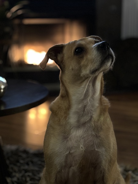 Lupita
