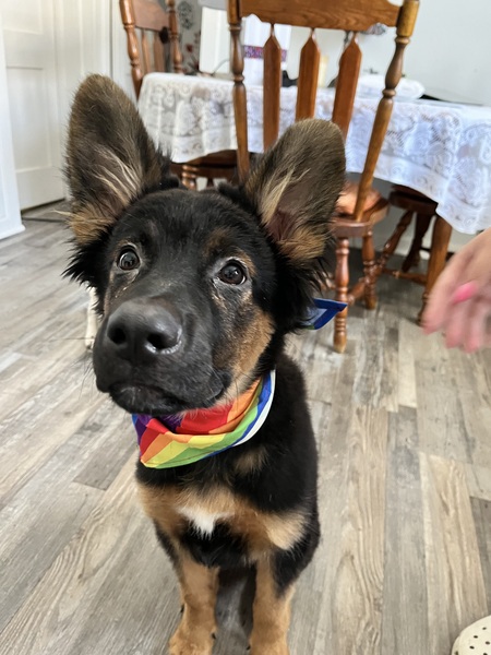 Milo