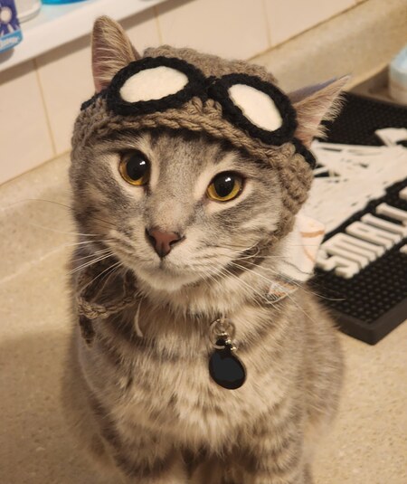 Nermal