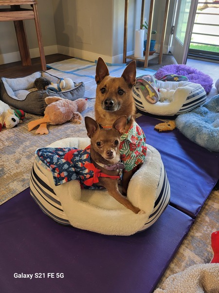 Piper and Bella