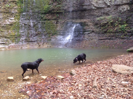 Chance and Abby