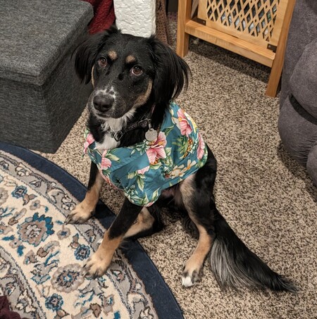 Kona