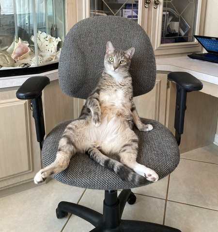Benny