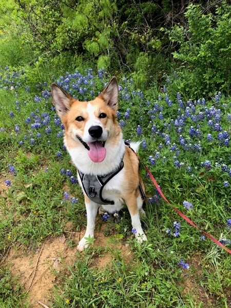 Bonnie