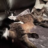 Entry image for Lola and Jackson