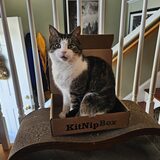 Entry image for Checkers