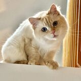 Entry image for Barry