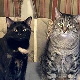 Entry image for Grayson & Shelby