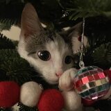 Entry image for Camille