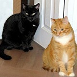 Entry image for Martina & Francis