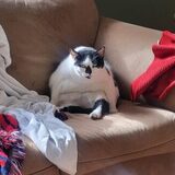 Entry image for Jackie