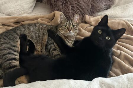 Entry image for Amy and Sheldon. Clicking this image will show a larger photo