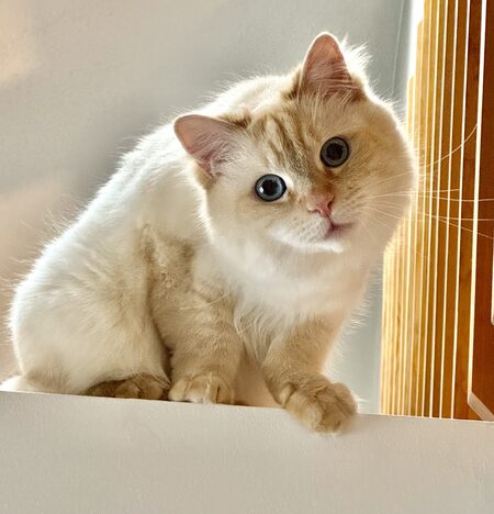 Entry image for Barry. Clicking this image will show a larger photo