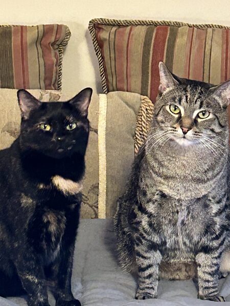 Entry image for Grayson & Shelby. Clicking this image will show a larger photo