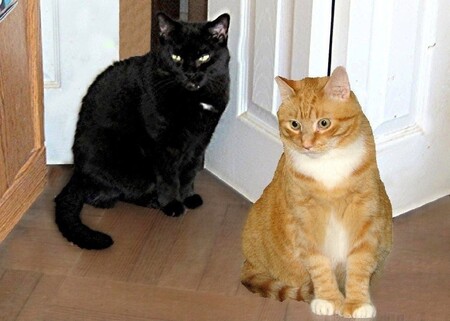 Entry image for Martina & Francis. Clicking this image will show a larger photo