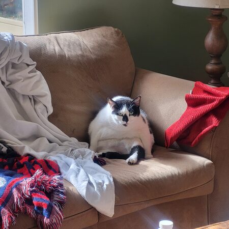 Entry image for Jackie. Clicking this image will show a larger photo