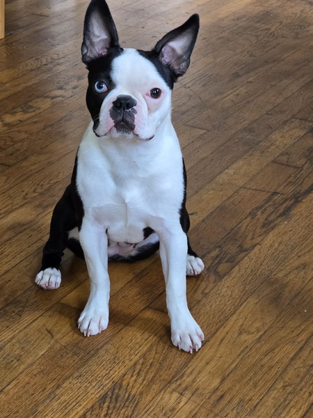 Oona