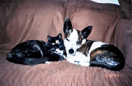Dottie & Dempsey
