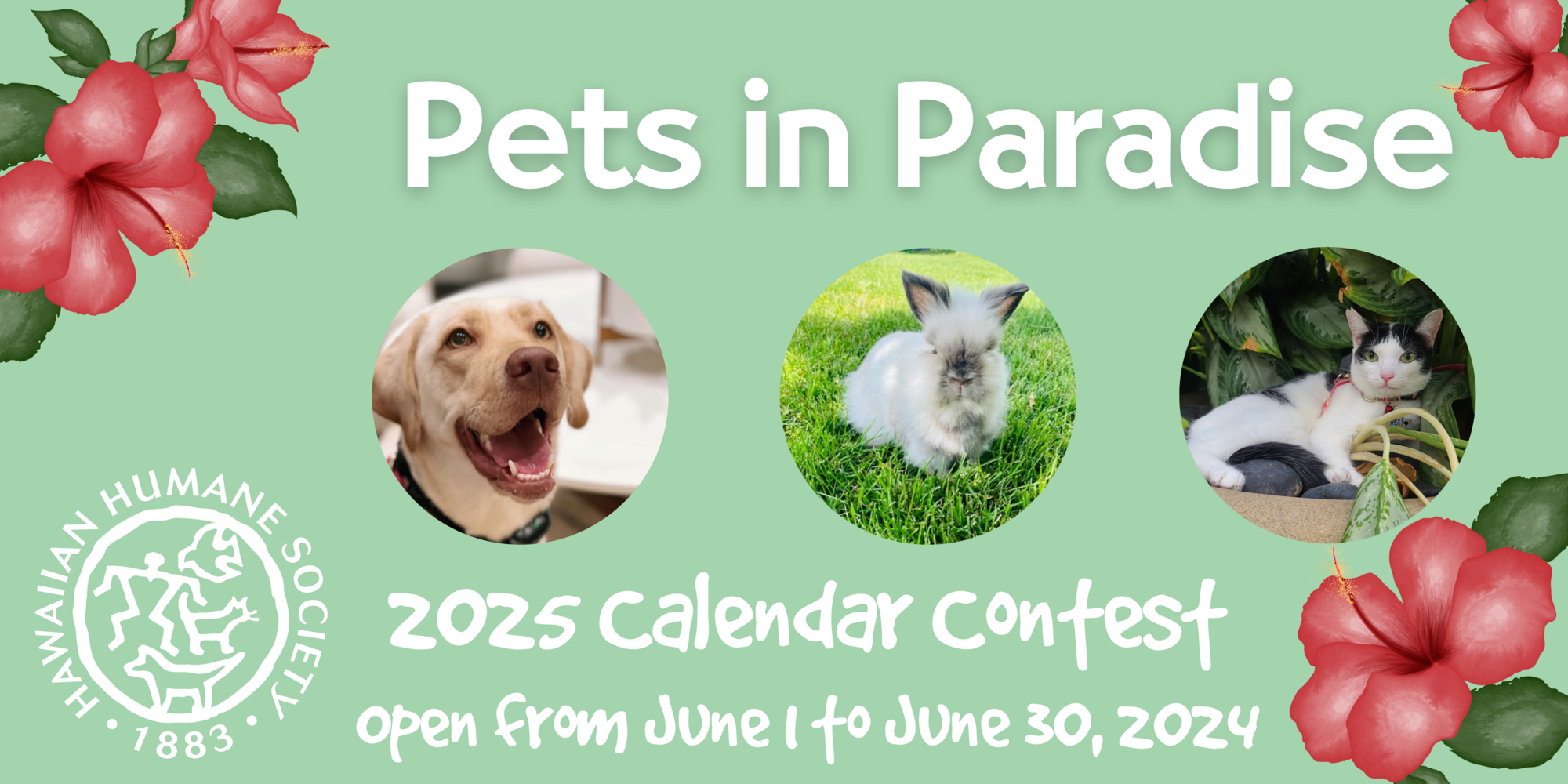 Banner 9 png v 4815 14 banner-9-png-v-4815-14
