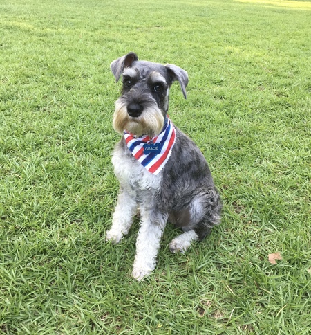 Gracie