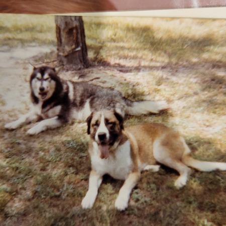 Sargent & Molly