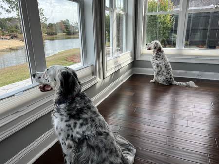 Major and Chiefie