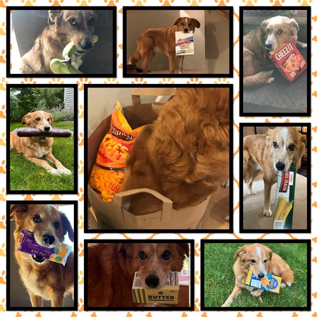 Entry image for Cody. Clicking this image will show a larger photo