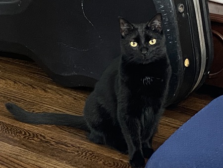 Zoey