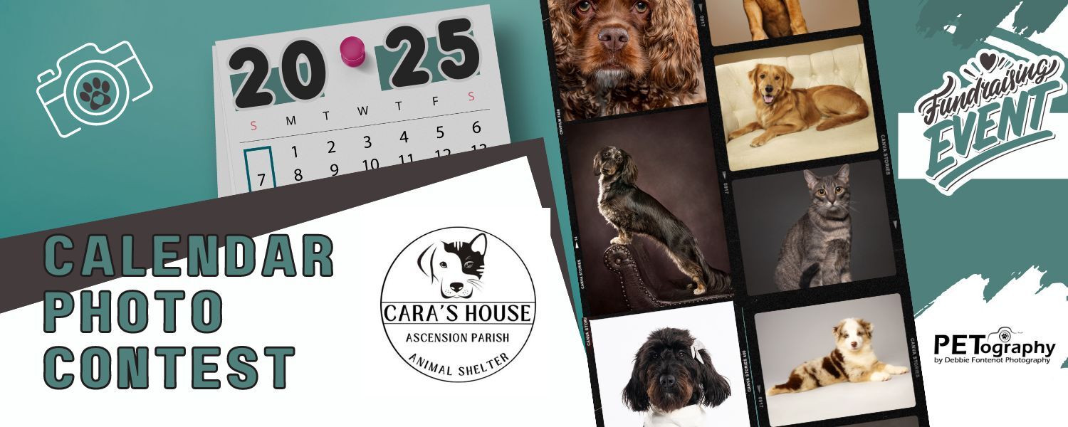 Cara's House | Cara’s House 2025 Calendar Contest