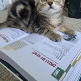 Entry image for Fred Astaire 