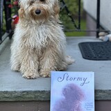 Entry image for Toffy