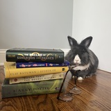 Entry image for Louis