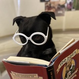 Entry image for Wanda 